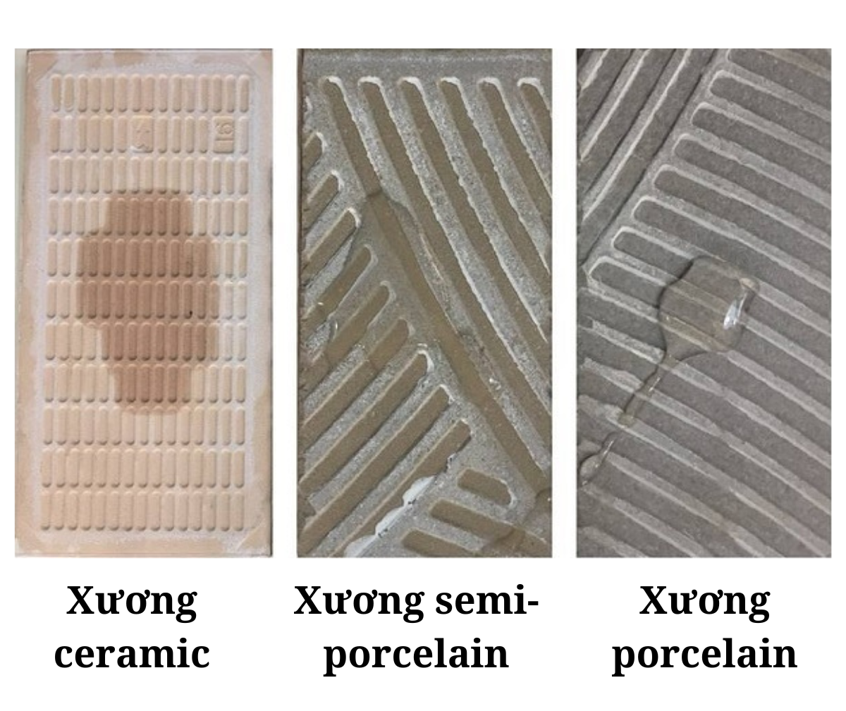 So sánh xương Ceramic, Semi - porcelain và xương Porcelain