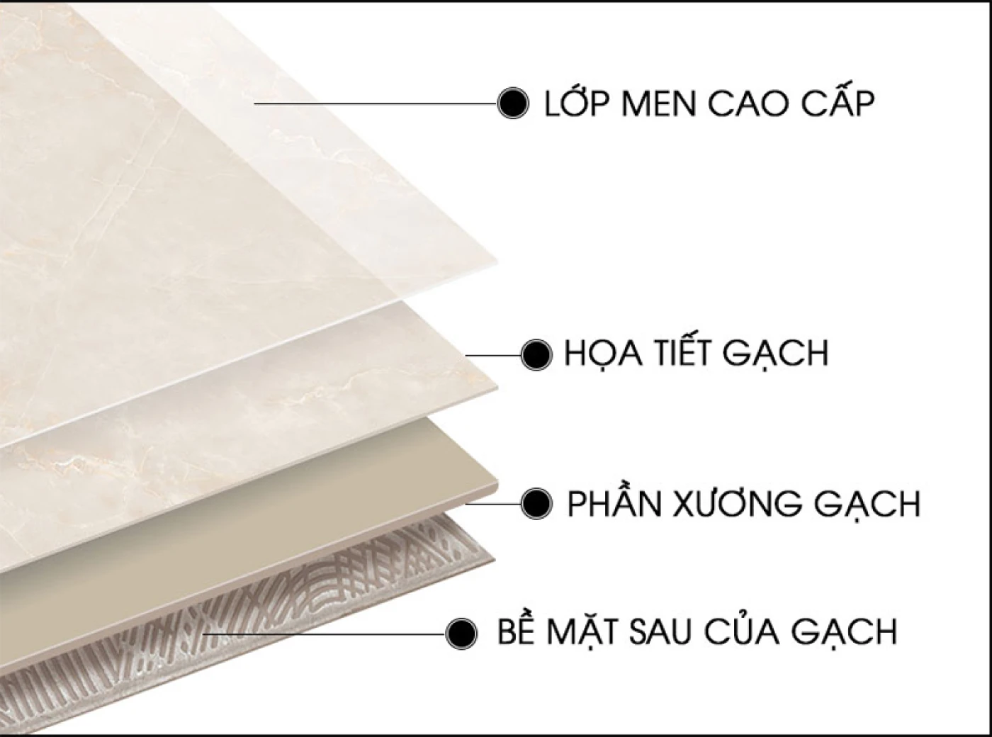 Chi tiết xương gạch